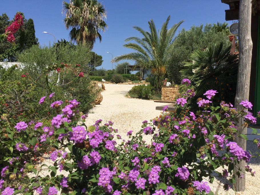 Il Colle Del Rustico Bed and Breakfast Αγκριτζέντο Εξωτερικό φωτογραφία