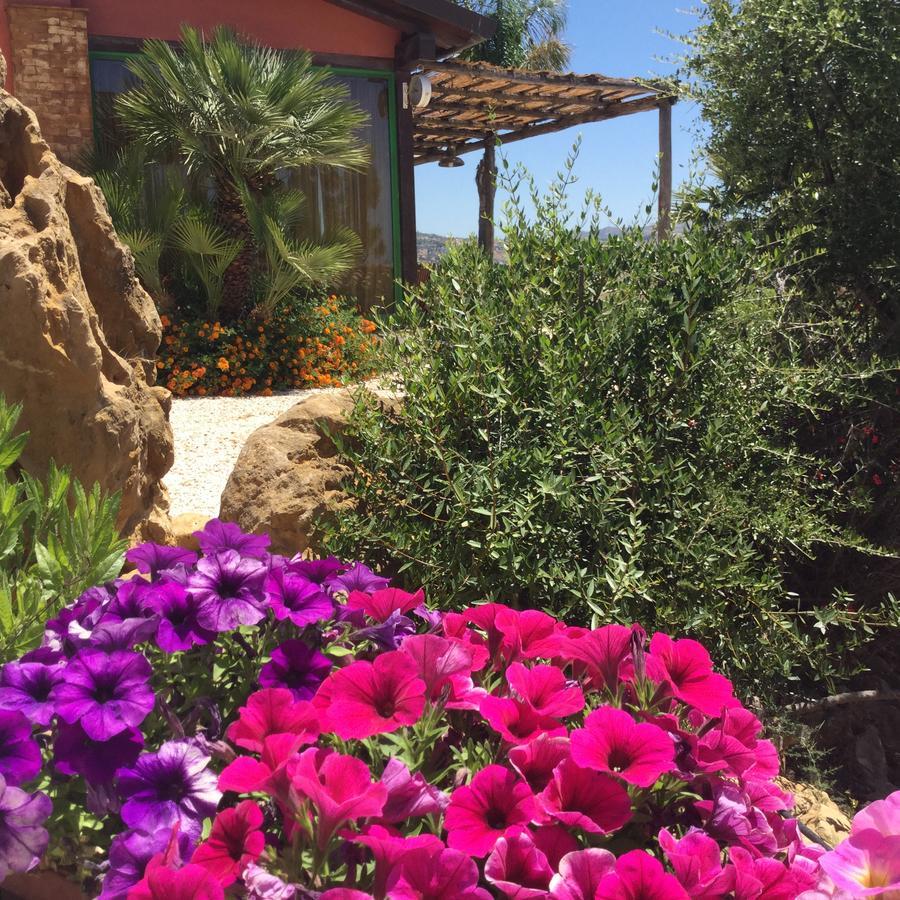 Il Colle Del Rustico Bed and Breakfast Αγκριτζέντο Εξωτερικό φωτογραφία